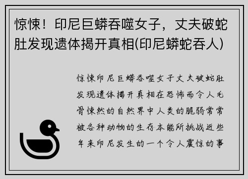 惊悚！印尼巨蟒吞噬女子，丈夫破蛇肚发现遗体揭开真相(印尼蟒蛇吞人)