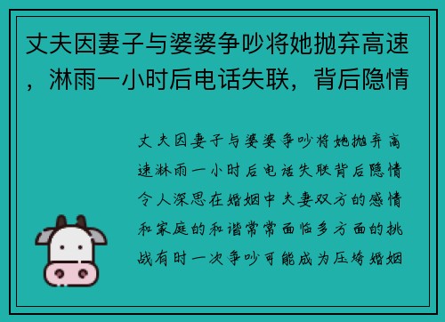 丈夫因妻子与婆婆争吵将她抛弃高速，淋雨一小时后电话失联，背后隐情令人深思