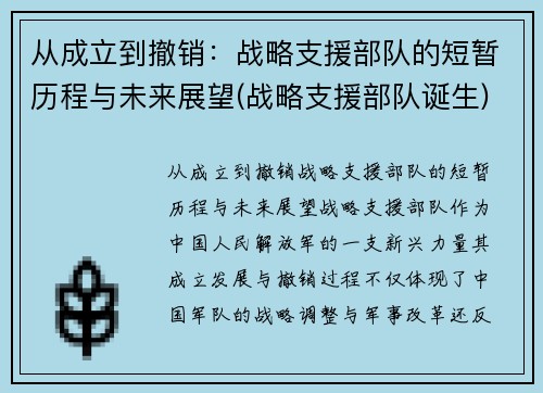 从成立到撤销：战略支援部队的短暂历程与未来展望(战略支援部队诞生)